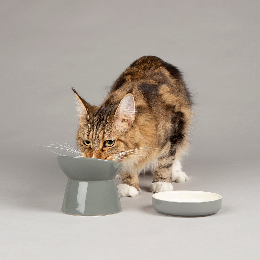 Double Cat Bowl Stand