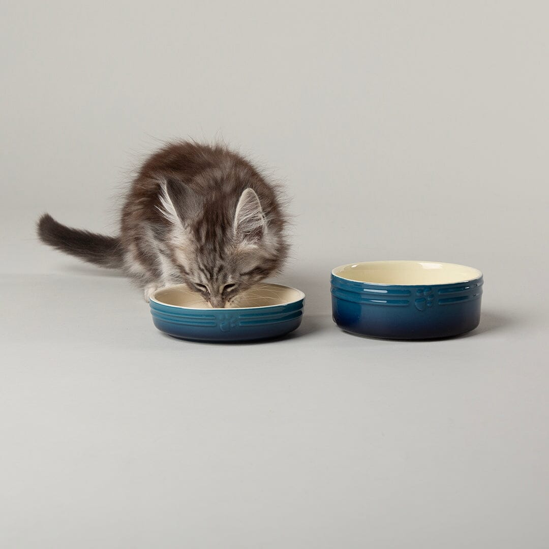 Double Cat Bowl Stand 3