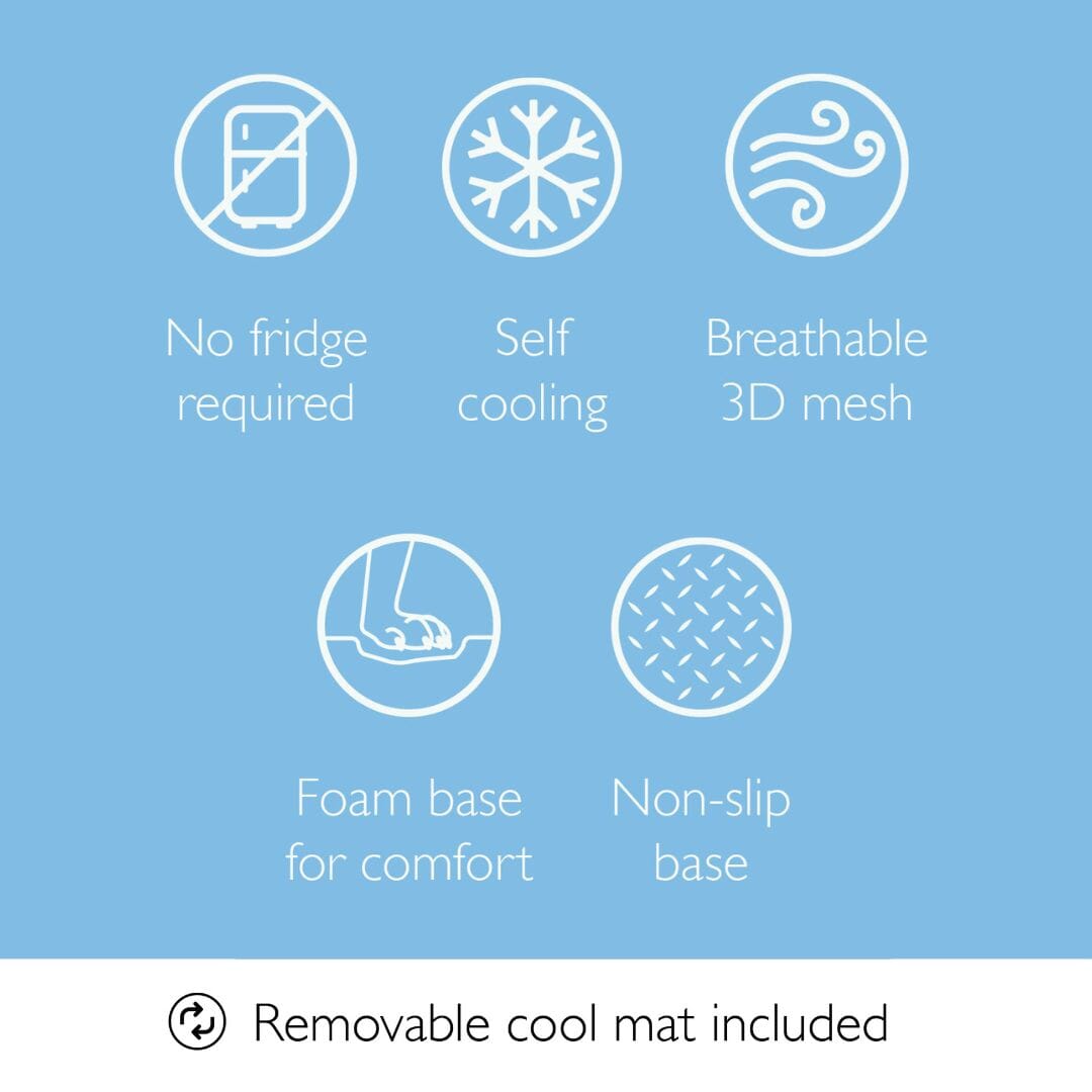 Elevated Cooling Dog Bed 2