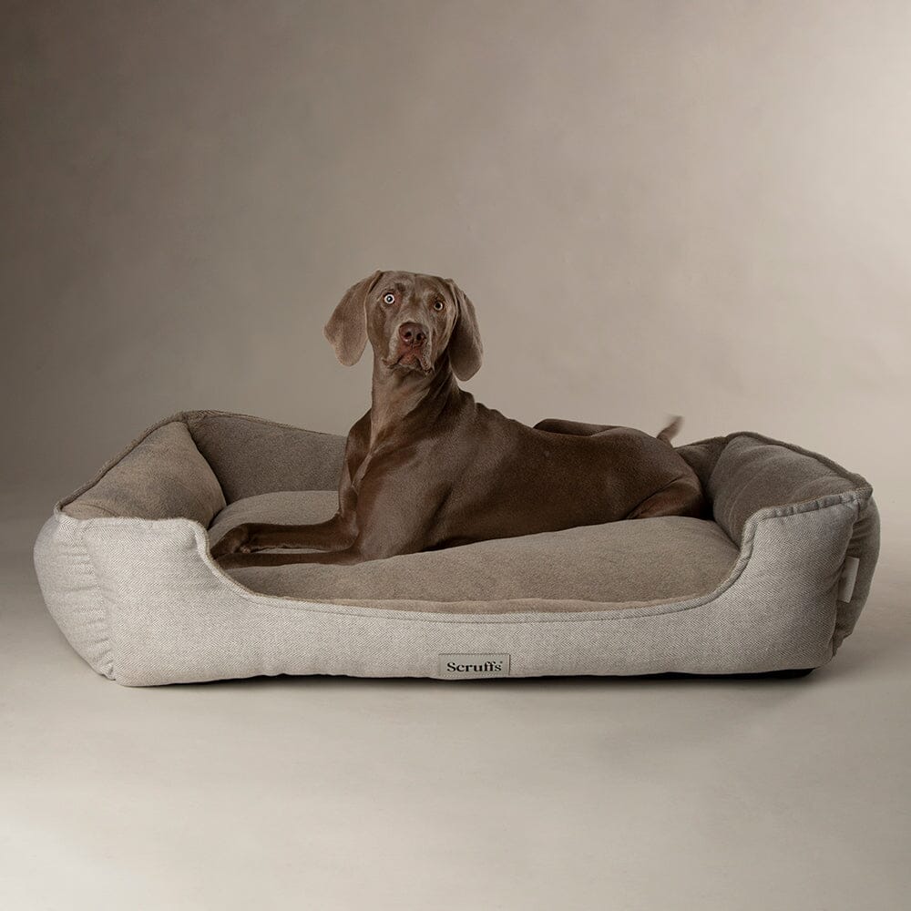 Memory Foam Dog Bed