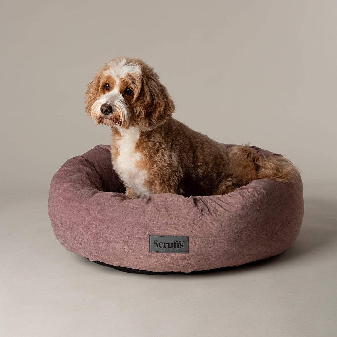 Round Plush Dog Bed
