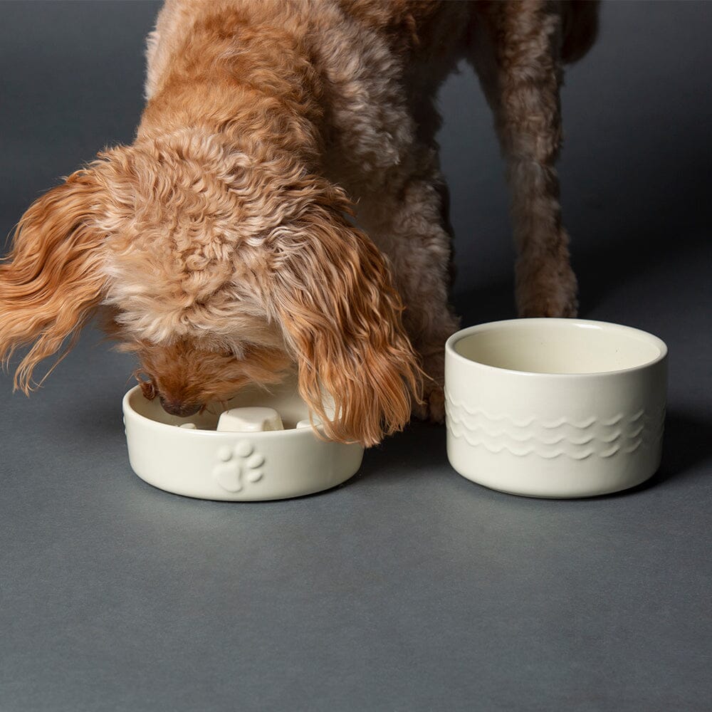 Slow Feeder Dog Bowl
