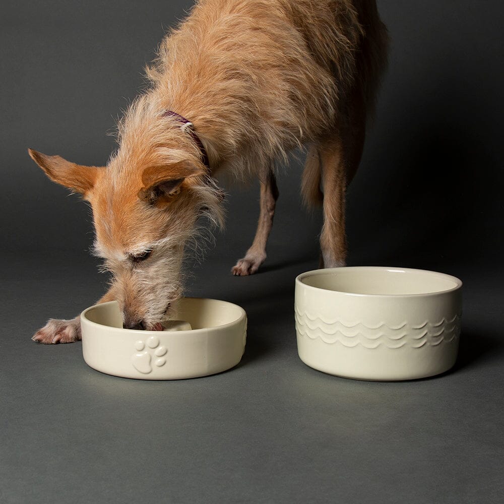 Slow Feeder Dog Bowl 3
