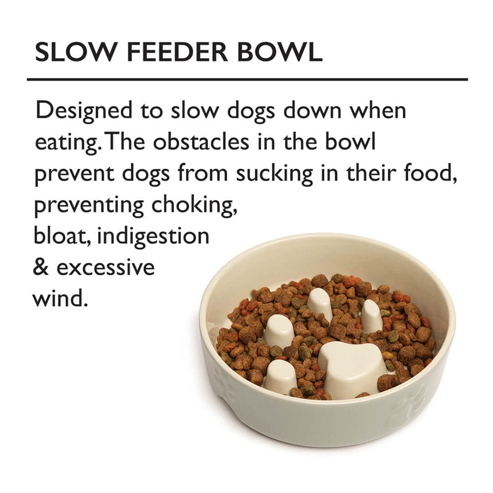 Slow Feeder Dog Bowl 4