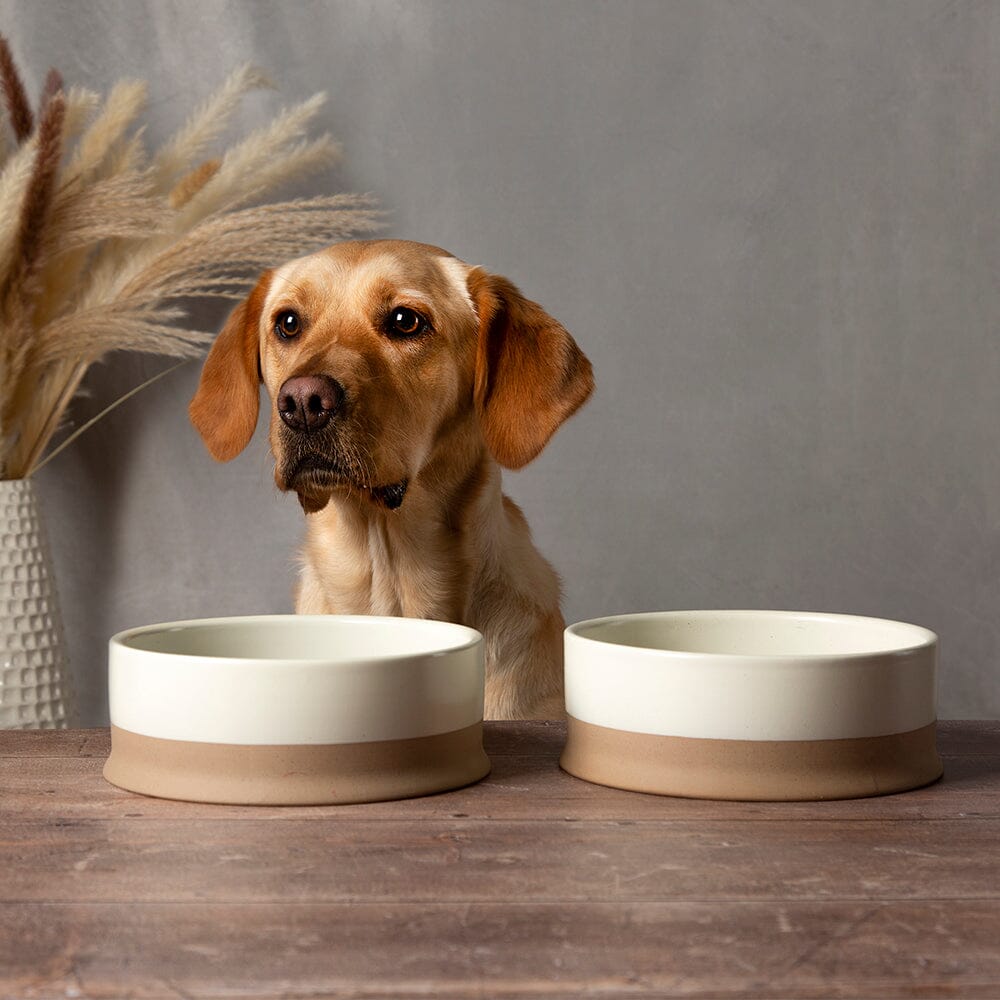 Stainless Steel Dog Bowl